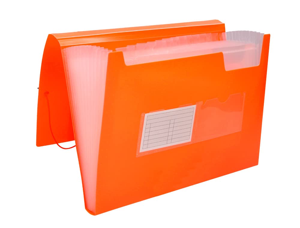Folder liderpapel Classifier Bellows Polypropylene din a4 Orange fluor Opaque 13 Departments
