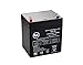 AJC Battery Compatible with Liftmaster 475LM Evercharge 12V 4.5Ah UPS Battery