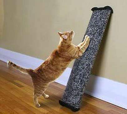 omega paw scratching post