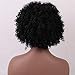 HAIRCUBE Afro Curly Wigs for Black Women Short Kinky Jet Black Heat Resistance Fiber Wigs for Women