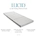 Lucid 4