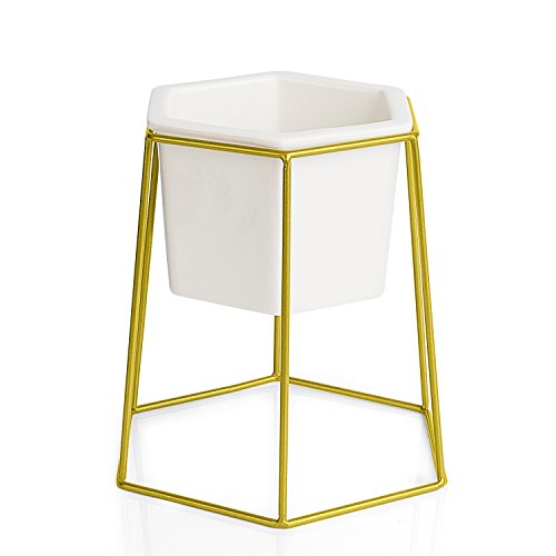 Greenaholics Succulent Pots - 4.9 inch Hexagon Ceramic Planters with Golden Iron Frame, Pots for Succulent, Cactus, White