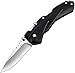 Buck Knives 288 QuickFire Assisted Opening Folding Knife, 2-3/4