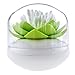 Bloss Cotton Swab Holder Q-tips Holder Lotus Toothpick Holder Small Toothpick Case Toothpicks Organizer Bathroom Vanity Canister -Green