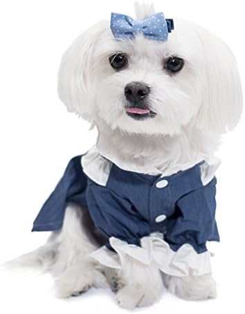 Chill Pups Blue Dress Date Night with Flawless Lace by United Pups (XX-Large)