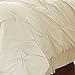 Amrapur Overseas Ella Collection| 8-Piece Pin Tuck Comforter Set, Ultra-Soft & Hypoallergenic Complete Bedding Set