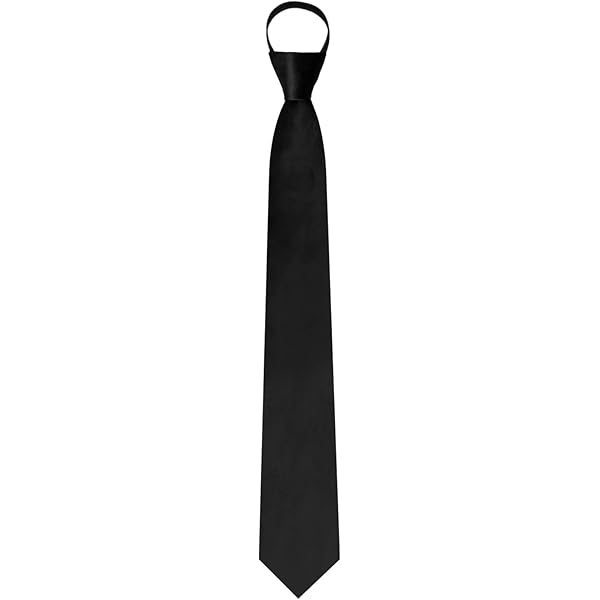 AUSKY Pre-tied Adjustable Zipper Skinny necktie,2.35'' Clip
