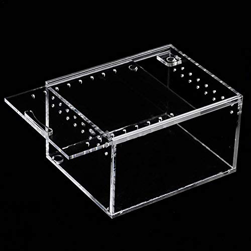 Biback Clear Reptile Breeding Box,Small Acrylic Terrarium Full View Visually with Sliding Design Feeding Box for Insect Reptiles Tarantulas Amphibians Lore Caterpillars Cricket Spider Snail Reptile