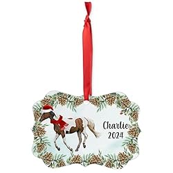 Skewbald Missouri Fox Trotter Horse Christmas