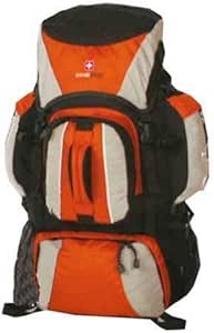 swiss gear hydration backpack