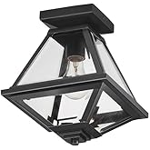 Maxim Prism - 1 Light Flush Mount-11 Inches Tall and 9 Inches Wide