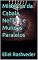 Livro Mistérios da Cabala, Nefilins e Mundos Paralelos (Cabala e esoterismo Livro 4)