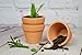 My Urban Crafts Small Terra Cotta Pots - Mini Clay Flower Pots - Great For Succulent & Cactus Nursery Planter, DIY Craft Projects, Wedding and Party Favors - 1 x 1.5 Inches (Set of 12)