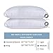 puredown Goose Feather Down Pillows, Embossing Bed Pillows for Sleeping with 2 Outer Protectors, Hotel Standard/Queen Pillows Set of 2 (Pack of 2)