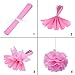 Sopeace 15 Pcs Pcs Cream Gold White Tissue Pom Poms Paper Flowers Paper Lanterns for Birthday Party Decoration