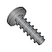 Small Parts 0204LPPBZ Steel Thread Rolling Screw for Plastic, Black Zinc Plated, Pan Head, Phillips Drive, #2-28 Thread Size, 1/4