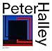 Peter Halley: Paintings of the 1980s: The Catalogue Raisonné by 
