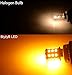 BlyilyB 12V-24V 1156 BA15S 1141 1073 7506 1003 Car Turn Signal Tail Blinker LED Bulbs Extremely Bright Amber/Yellow