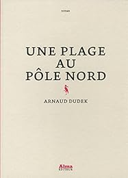 Une  plage au pôle Nord