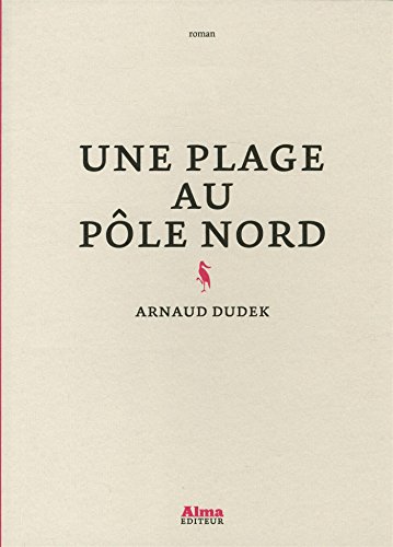 Une  plage au pôle Nord