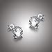 Amazon Collection Sterling Silver Round Cubic Zirconia Stud Earrings