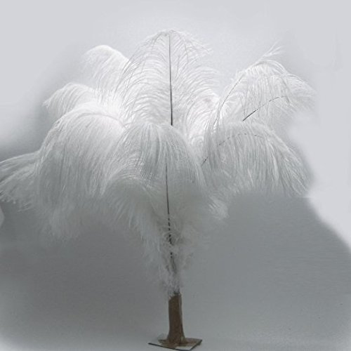 KOLIGHT10pcs Ostrich Feather White 12"-14" Natural Feathers Wedding, Party ,Home ,Hairs Decoration