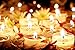 CandleNScent 6-Hour Tealight Candles White Unscented | Clear Cup Tea Light Candles | Made in USA (30-Pack)