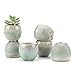 T4U 2 Inch Small Ceramic Succulent Planter Pots with Drainage Hole Set of 6, Mini Pots for Succulent Cactus Porcelain Sagging Glazed Handicraft Gift Best for Home Office Table Desk Decoration