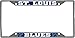 FANMATS 17186 St. Louis Blues Chrome Metal License Plate Frame, Team Colors, 6.25in x 12.25in