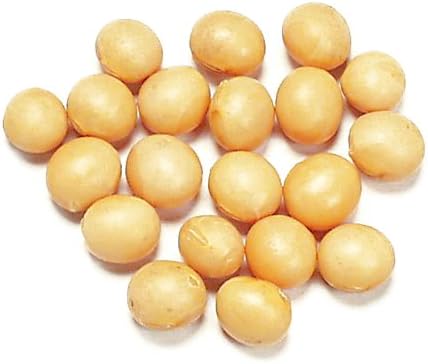 Organic Whole Yellow Peas - 25 Pound Bag