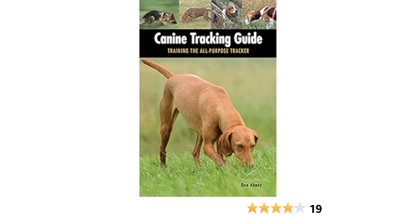 dog tracking for beginners