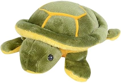 teddy tortoise
