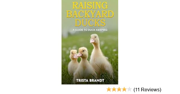 Raising Backyard Ducks A Guide To Duck Keeping Kindle Edition