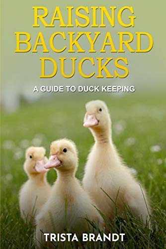 Raising Backyard Ducks A Guide To Duck Keeping Kindle Edition