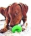 Tough Rubber Dog Bone, Durable Chew Toy for Dogs by Bionic, Medium, Green