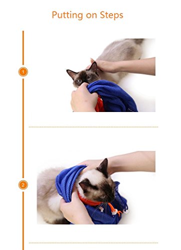 2 CatYou+Grooming+Polyester+Injecting+Examining