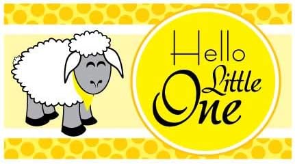 Amazon Com Victorystore Baby Shower Decorations Hello Little One