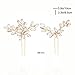 Venusvi Bride Wedding Crystal Hair Pins Rhinestone Bridal Hair Pieces Wedding Hair Accessories for Women and Girls (Pack of 2) (Gold)