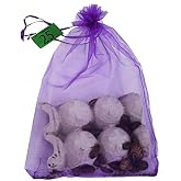 Josh's Frogs 3/4" - 1" Large Dubia Roaches (25 Count)