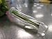 Oasis Water Tubes Clear 3