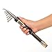 BLISSWILL Portable Fishing Rods Pocket Telescopic Fishing Pole Spinning and Casting Fishing Rod Fishing Lightweight Rods for Travel
