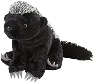 honey badger stuffed animal urban outfitters