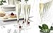 Party Essentials Supplies One Piece 5-Ounce Disposable Plastic Champagne Flutes/Wine Glasses/Party Cups, 10-Count, Clear