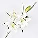 Sunm Boutique 35.4 in Artificial Lily Flowers, Real Touch Lily with 6 Full Bloom Heads and 3 Buds, Long Stems Tiger Lily Flower, Latex Lily Flower for Easter Wedding Party Office Home Decor, 3 Pcs