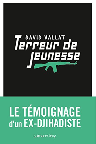 Terreur de jeunesse (Documents, Actualités, Société) (French Edition) by David Vallat