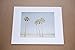 California Wall Art, Venice Beach Palm Tree Art, Santa Monica Coastal Wall Decor, Tropical Beach Picture - 5x7, 8x10 Print (not framed), ‘Boardwalk Palms’