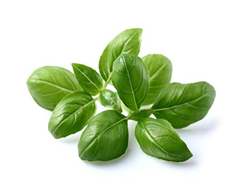 Click and Grow Smart Garden Basil Plant Pods, 3-Pack - Thumbnail 2