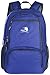 Free Knight 25L Packable Handy Lightweight Travel Backpack Daypack (New Blue)