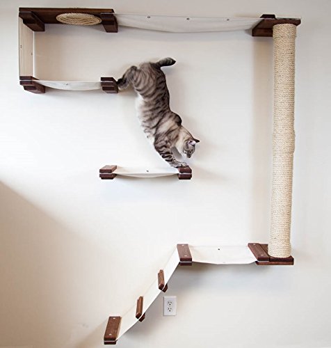 CatastrophiCreations Cat Mod Climb Track Handcrafted Wall mounted Cat Tree Shelves, English Chestnut/Natural, One Size