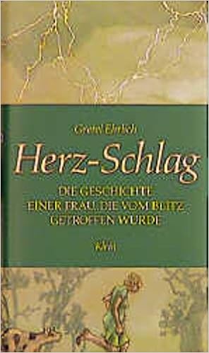 Herz-Schlag. Die Geschichte Einer Frau, Die Vom Blitz Getroffen Wurde :  Ehrlich, Gretel: Amazon.de: Bücher